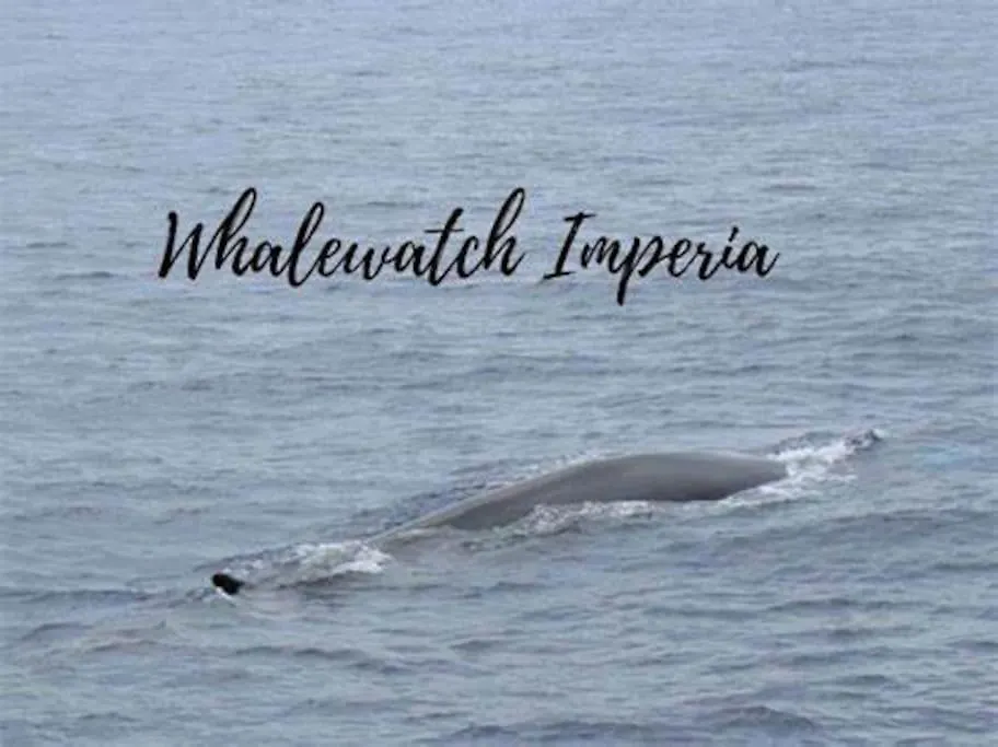 La Tuga Appartamento Stile Marinaro Sul Mare Imperia Italia